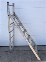 Step/extension ladder