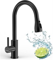 $70 Kitchen Sink Faucet with Pull Down Sprayer