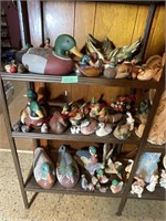 Assorted Duck Collection