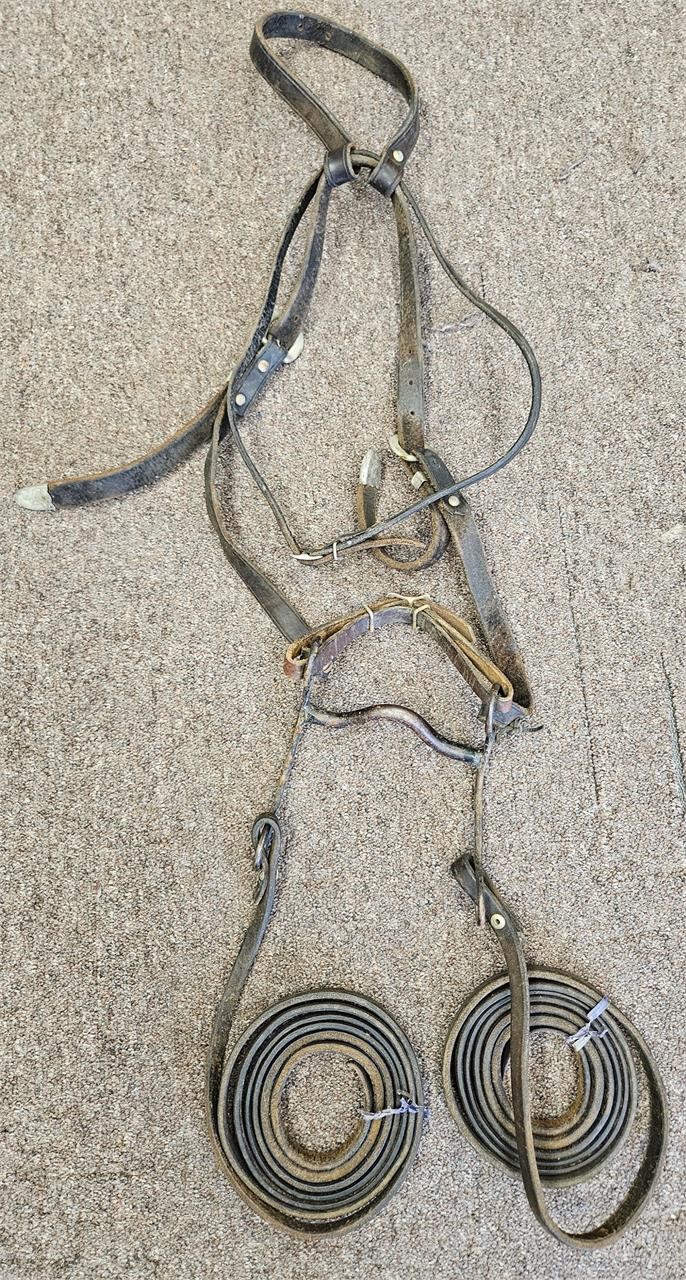 Leather Bridle with Curb Bit & Reins Vintage