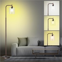 NEW $80 Floor Lamp