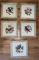 5 Framed Birds Cross Stitched Wall Art