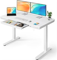 ErGear Electric Standing Desk w/ USB Ports