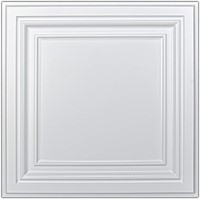 PVC Ceiling Tiles, 2'x2' White (12-Pack)