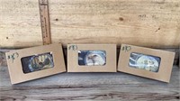 Eagle dog and rooster photo albums