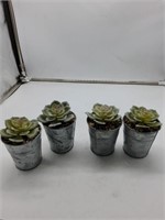 4 mimi decor plants