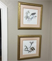 Signed & Framed Bird Prints