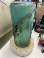 Baby shark in jar