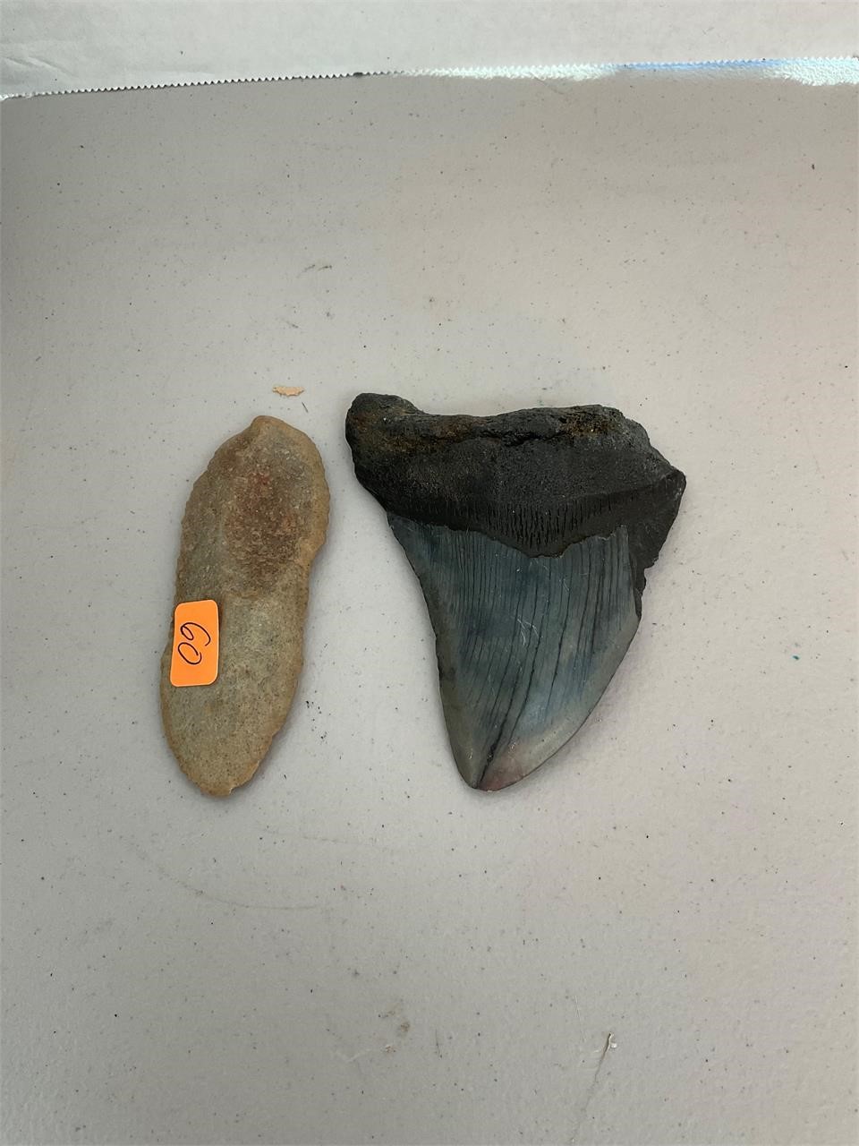 Megalodon Shark Tooth and Arrowhead