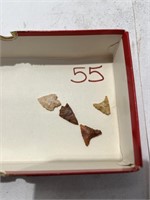 box of Africa Birdshot arrowheads