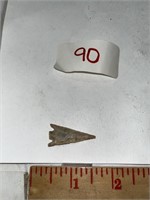 African small arrowhead