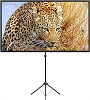 Portable Projector Screen with Stand