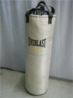 Everlast professional Punching Bag
