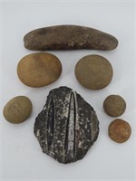 Orthocera Fossils & Stones
