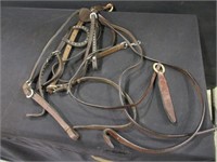 Western Headstall & Breast Collar