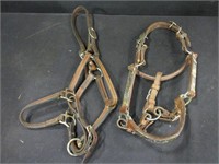 Leather Halter & Show Halter