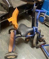 Mobile trike with seat support special needs care