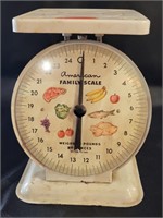 VTG American Family Food Scale