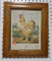 Antique framed etching of Tomlinson’s Buff