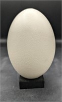Decorative Egg on Black Base