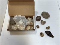 box of fossils