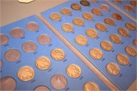 Nickel Collections  ( Buffalo Nickels)