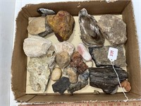 box of fossils