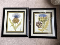 Pair of framed modern botanical prints - T