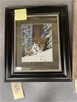 Framed/Matted Bev Doolittle Wall Art 16" x 18"