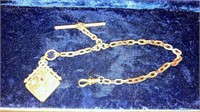 Antique watch chain w/ jeweled fob