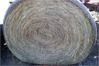 (30) bales Intermediate Wheat grass hay