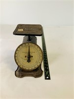 Vintage Columbia Family Scale
