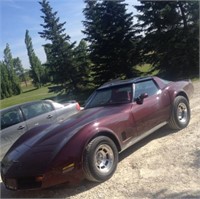 1981 Chevrolet Corvette 2Dr 8 Cyl Purple