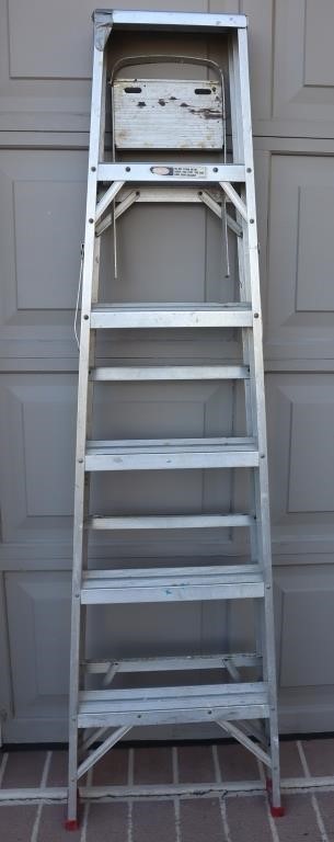 Werner 6ft Ladder