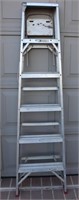 Werner 6ft Ladder