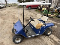 Blue gas golf cart: not running