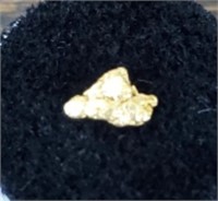 Natural Alaska Gold Rush Nugget #6
