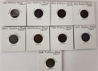 (9) Indian Head Cents 1900-1908