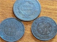 CAD 1859/1903 & US 1859 PENNIES