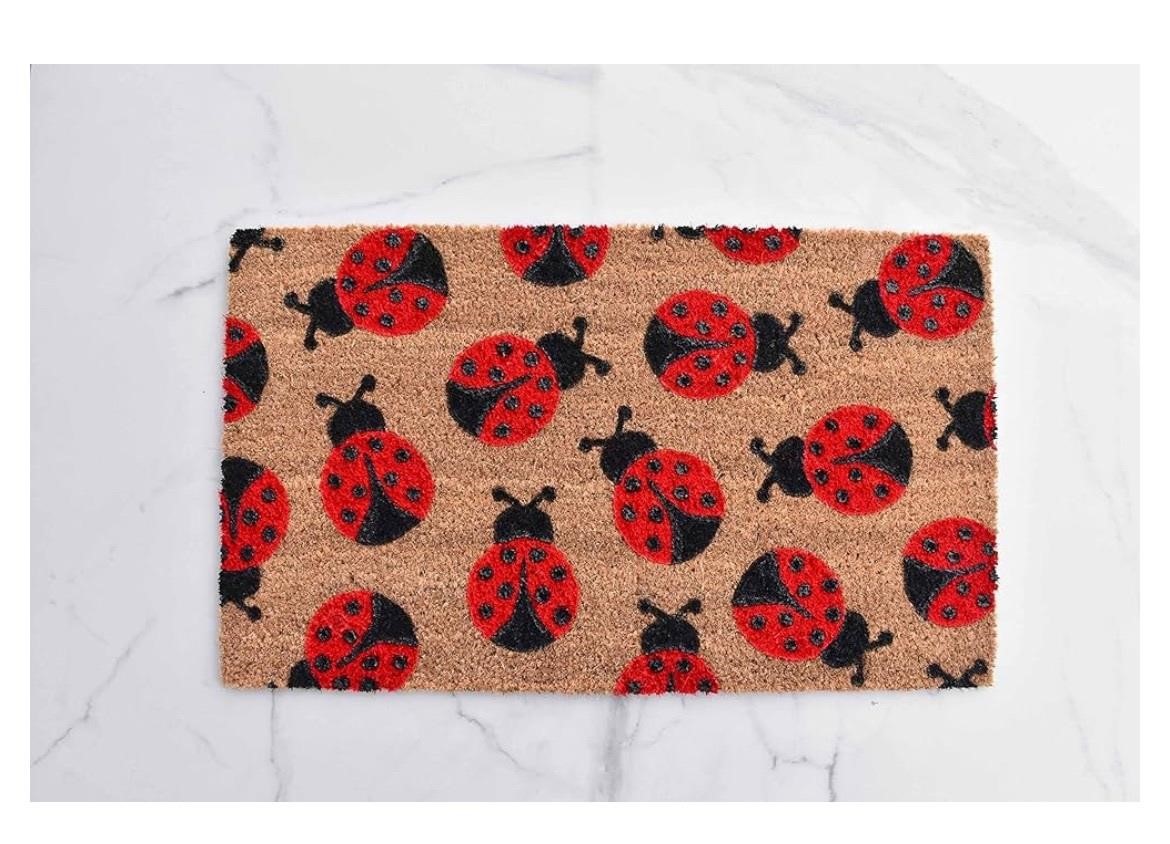 Ladybug Doormat, Cute Doormat