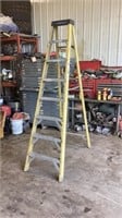 Werner 8’ Ladder 
Location Springfield IL