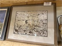 Professionally Framed and mounted print