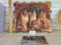 Would battery operated cat clock.