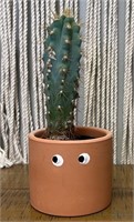 Live Cactus with Pot