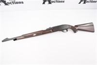 REMINGTON Nylon 66 .22 LR