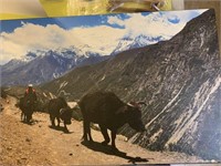 MOUNT EVEREST NEPAL LARGE PHOTO WALL HANGING