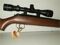 Air Rifle with wood stock 2x27 scope