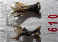 Antler Wine Glasses