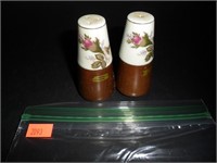 Brown with White tips Salt and Pepper Shakers