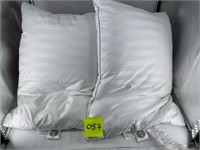 Grand Haven pillows 2pack